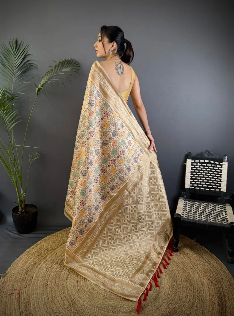 Heavy Banarasi Patola Silk Saree with All Over Fancy Meena and Zari Weaving view 7