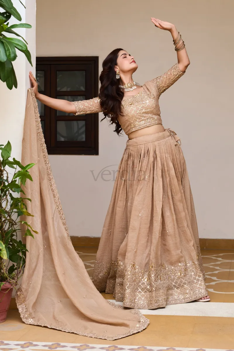Beautiful Lehenga with embroidery sequence work view 3