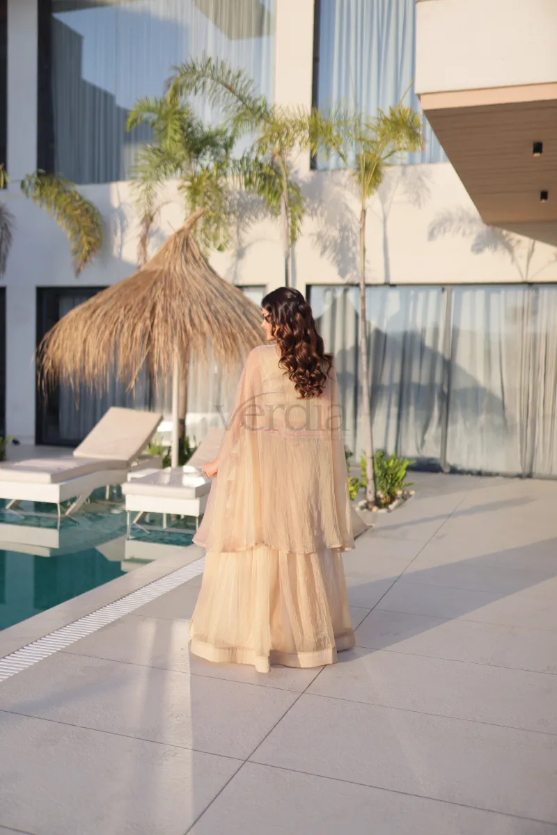 Beautiful Lehenga with embroidery sequence work view 3