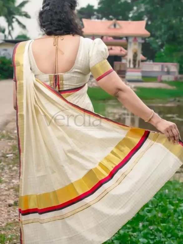 Check Cotton Saree with Zari Border and Red and Black Zari Pallu view 3