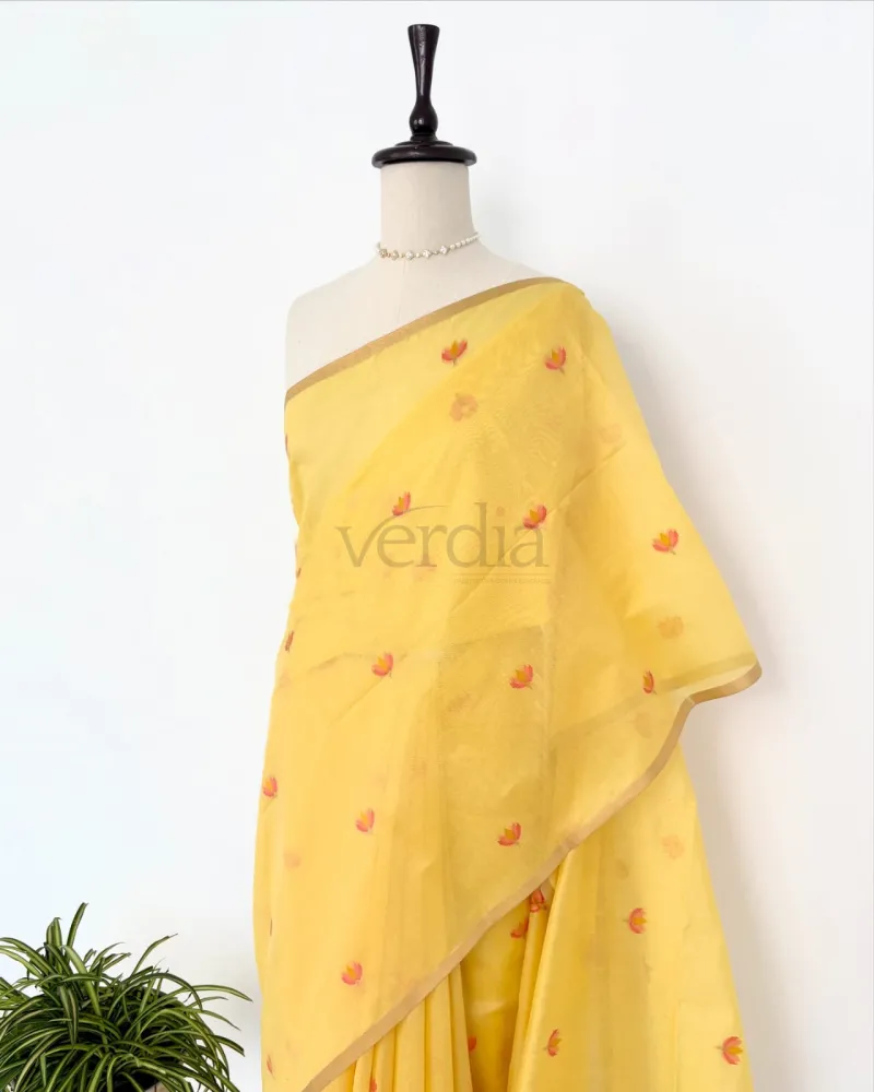 Premium Soft Muga Cotton Saree view 3